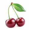 Cherry Kernel Thermofor - Ľadový medveď