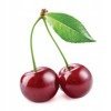 Cherry Kernel Thermofor - Big Bear 500g