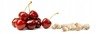 Cherry Kernel Thermofor - Mint Teddy Bears Large 500g